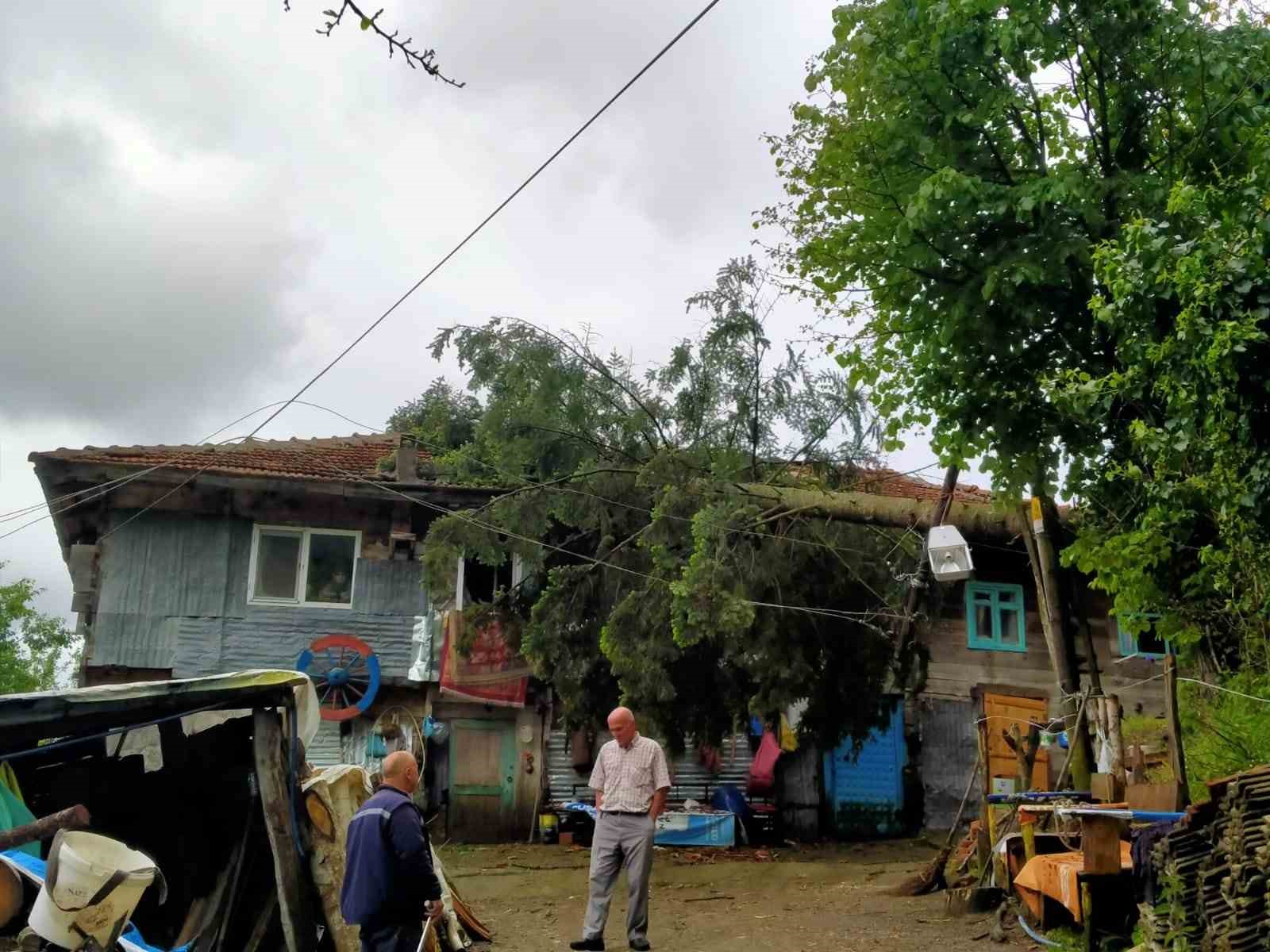 R&uuml;zgarın devirdiği ağa&ccedil; evde hasara yol a&ccedil;tı
