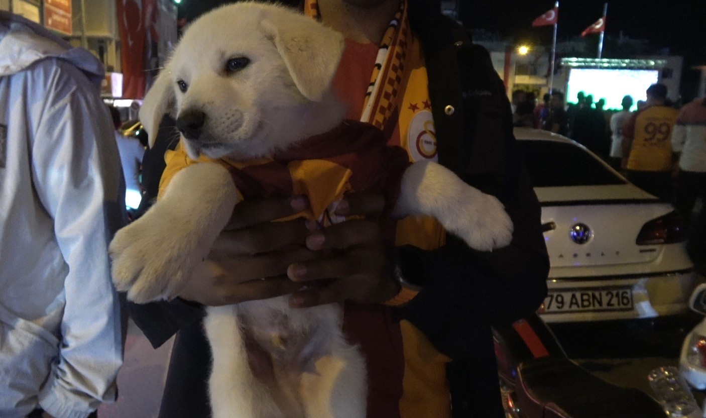 Galatasaray taraftarları sınır kentinde şampiyonluğu renkli g&ouml;r&uuml;nt&uuml;lerle kutladı
