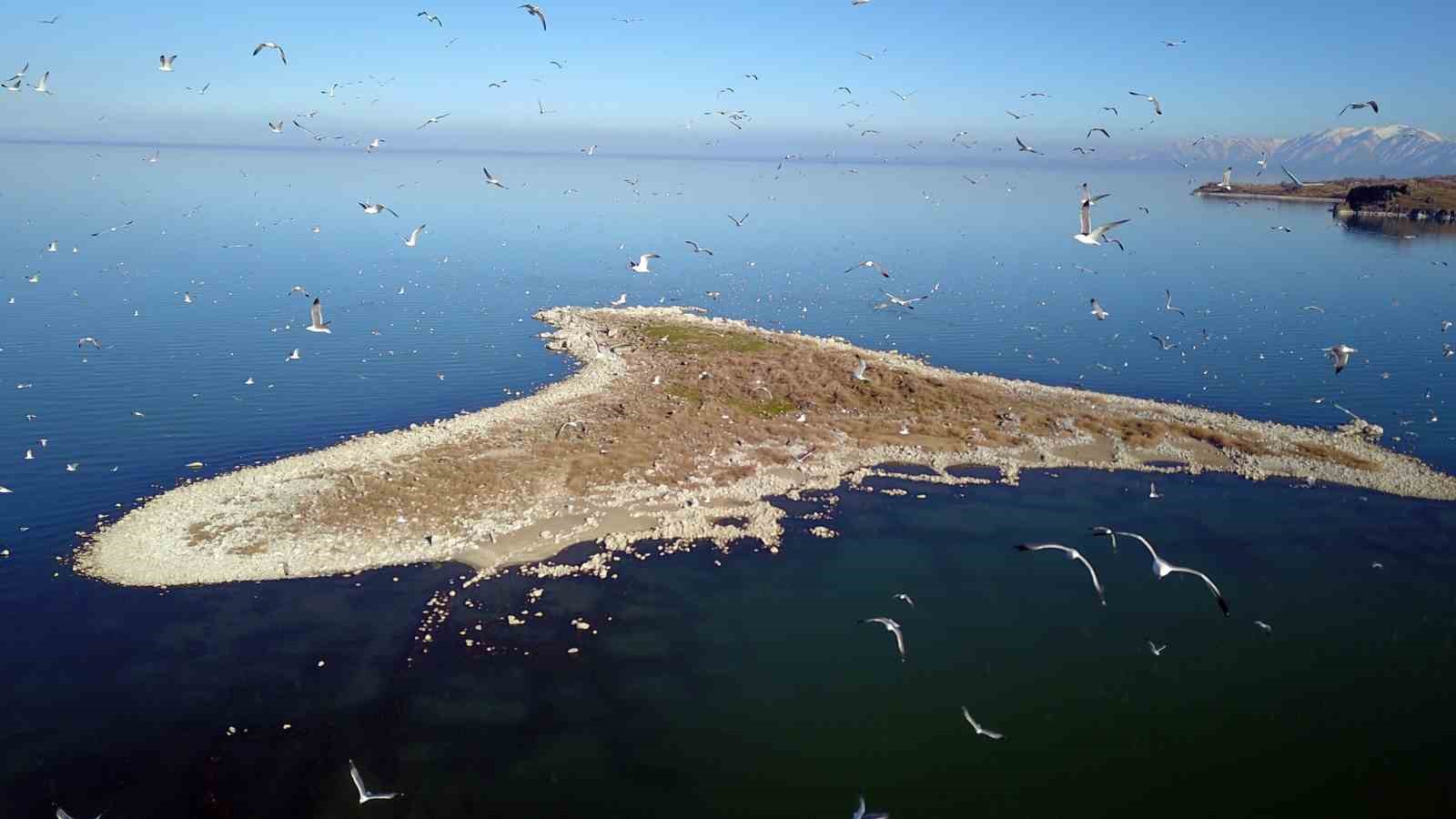 Bitlis’teki bütün göller kuraklık tehlikesiyle karşı karşıya