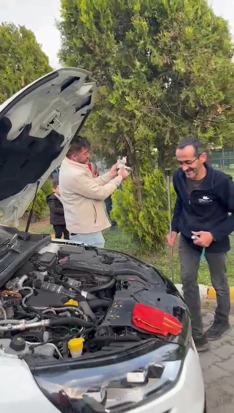 Otomobilin motoruna sıkışan yavru kedi kurtarıldı