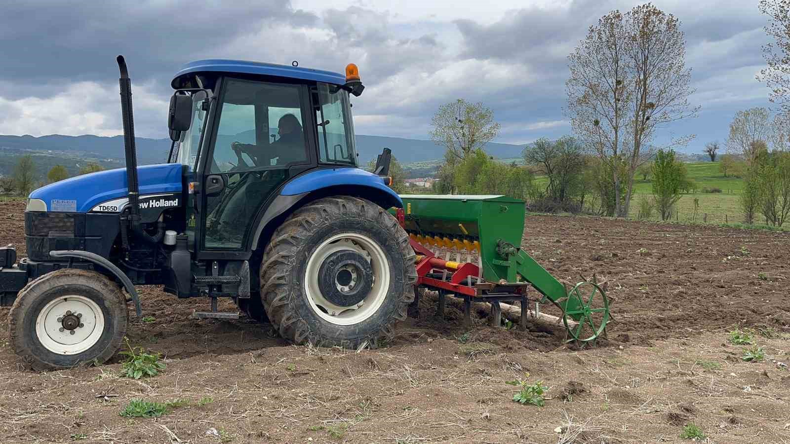 Çölyak hastalarının vazgeçilmezi karabuğday toprakla buluştu