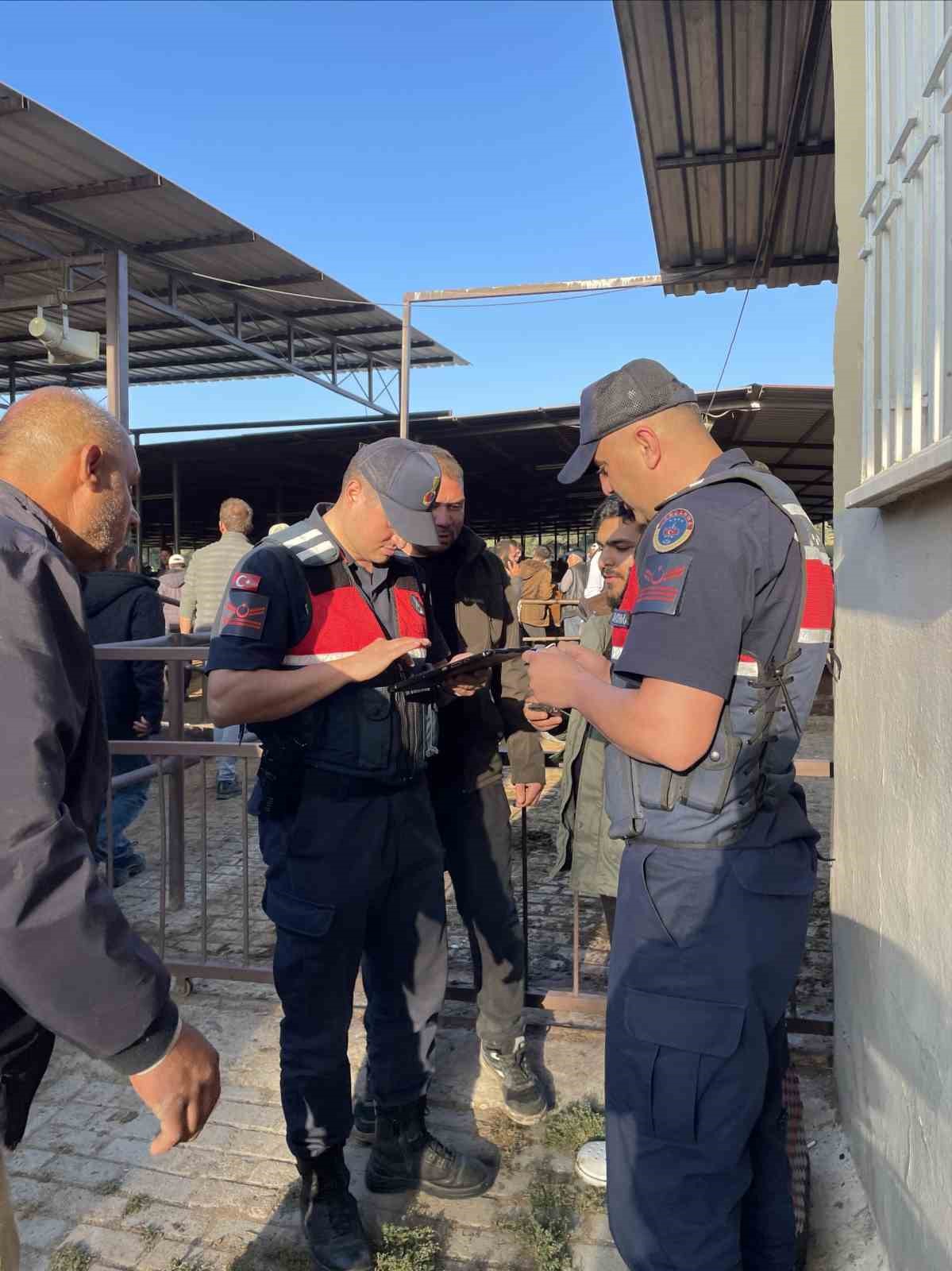 Efeler’de jandarmadan eş zamanlı şok uygulama
