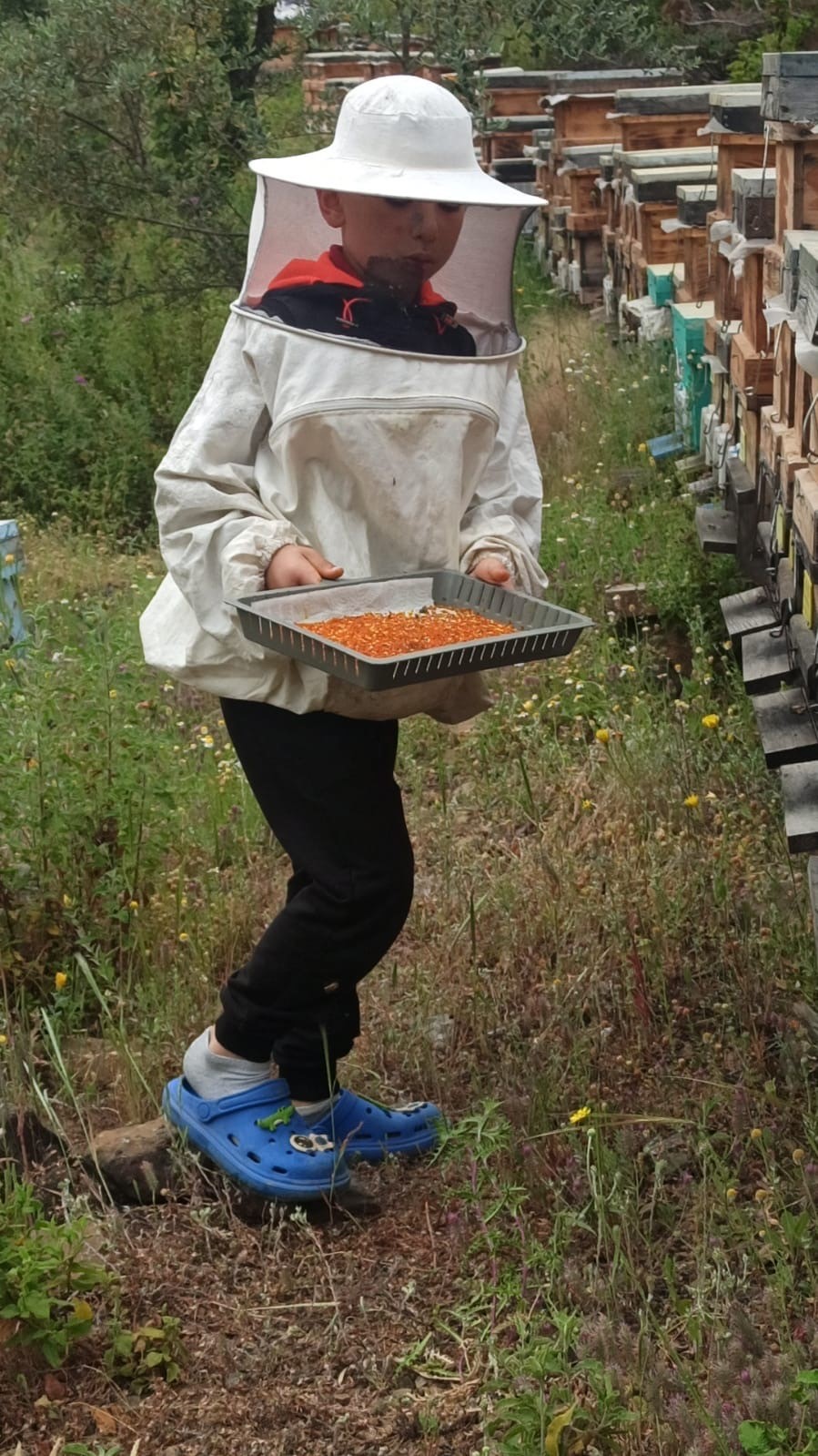 Gazipaşa&rsquo;da arıcıların yayla mesaisi başlıyor
