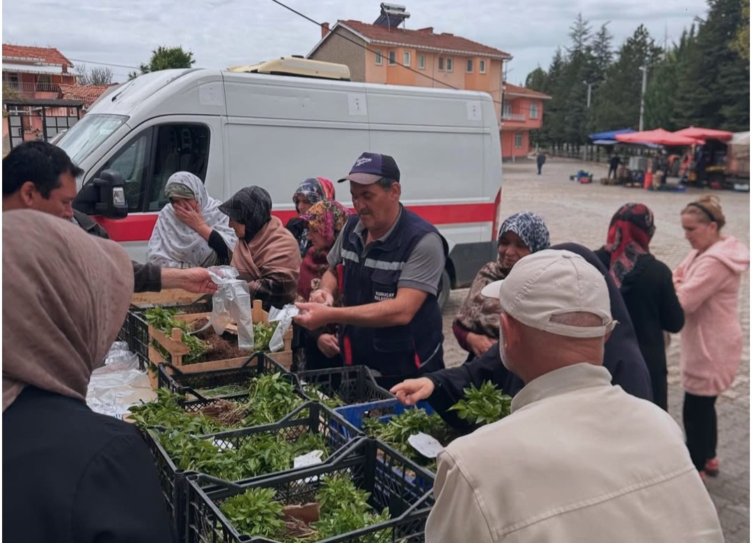 Tavşanlı’da 20 bin adet biber fidesi dağıtıldı