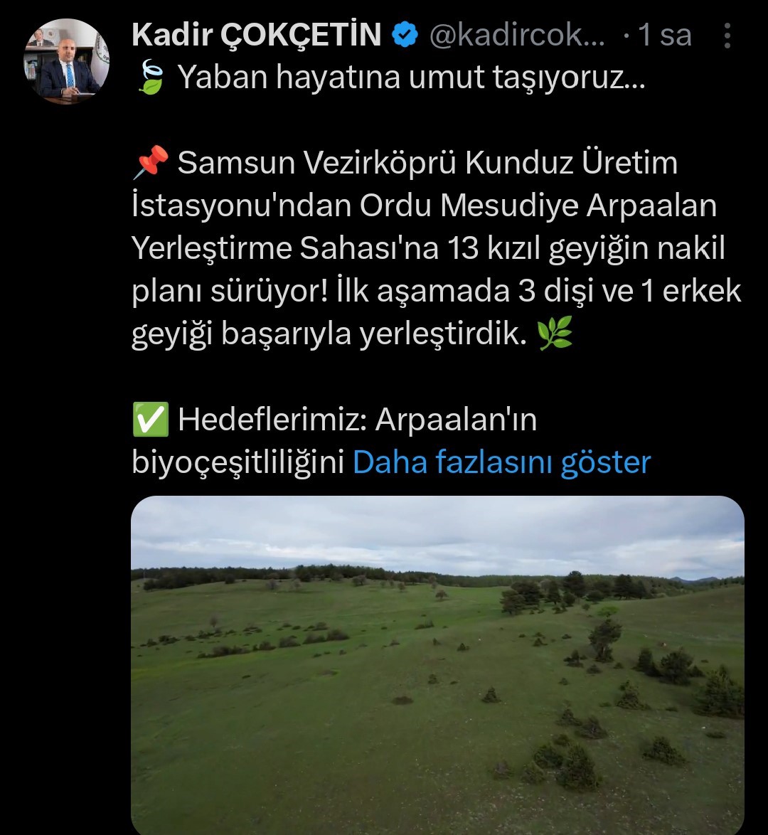Ordu’da doğaya kızıl geyik salımı başladı
