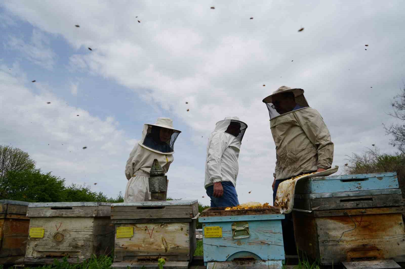 Erzincan’da 100 bin üzeri kolonide 1 milyon kilogram bal üretiliyor