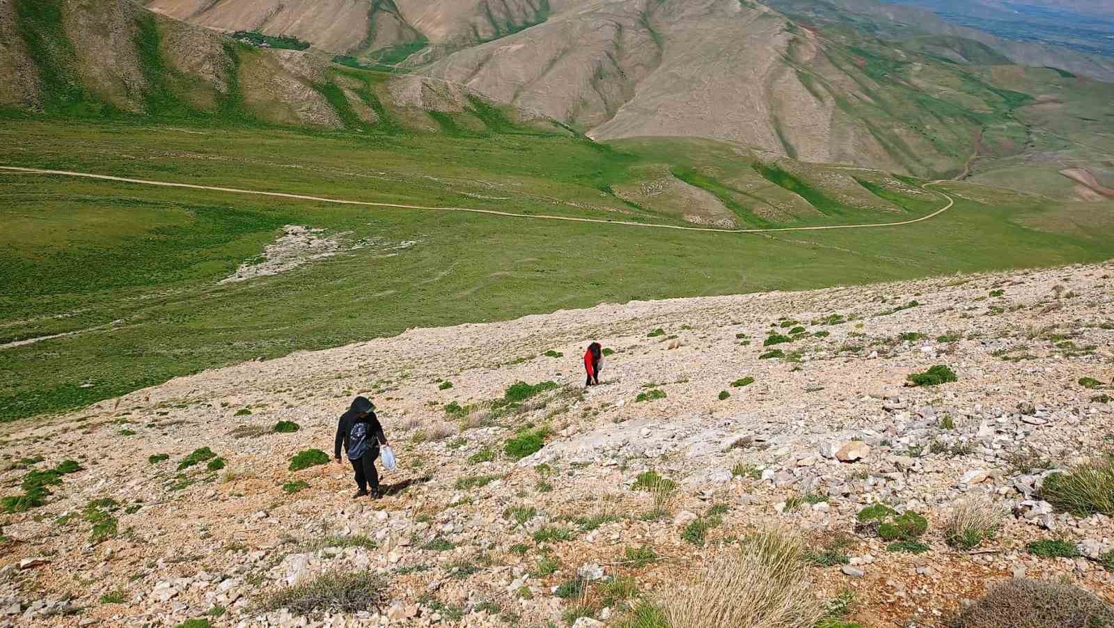 Uzmanlardan heliz otu ve mantar zehirlenmesi uyarısı