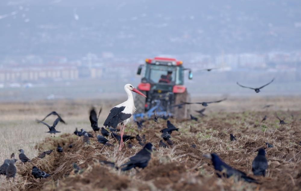 Erzurum’da traktör ve motosiklet sayısında artış var