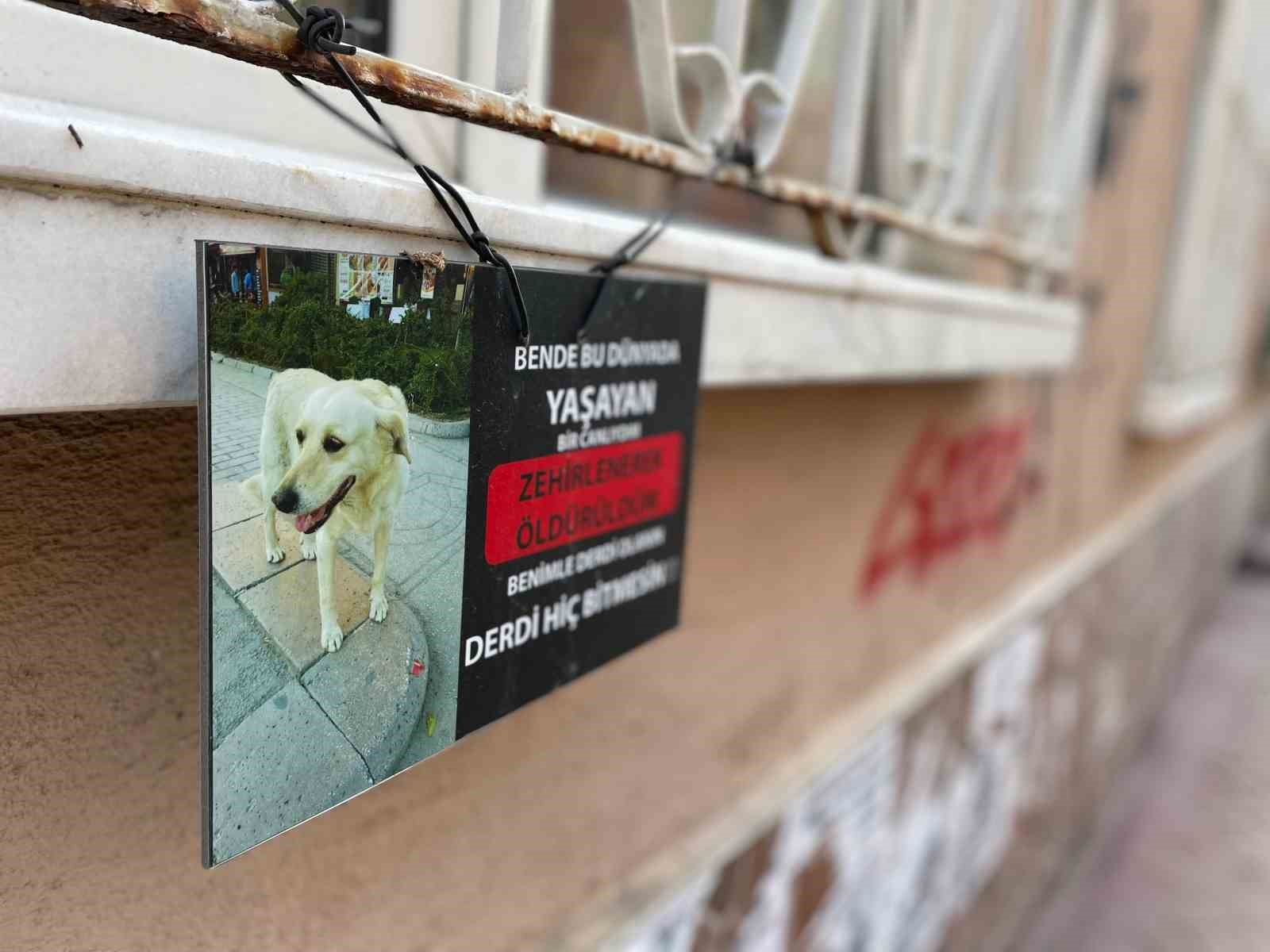 Zehirlendiği iddia edilen k&ouml;peğin fotoğrafıyla asılan not g&ouml;ze &ccedil;arptı
