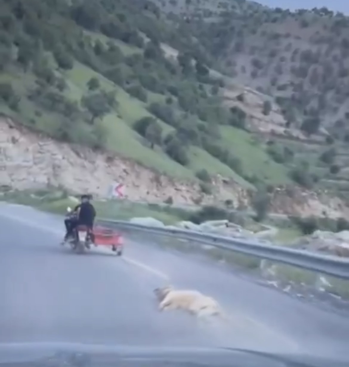 Telef olduğu iddia edilen köpeği motosikletle sürüklediler
