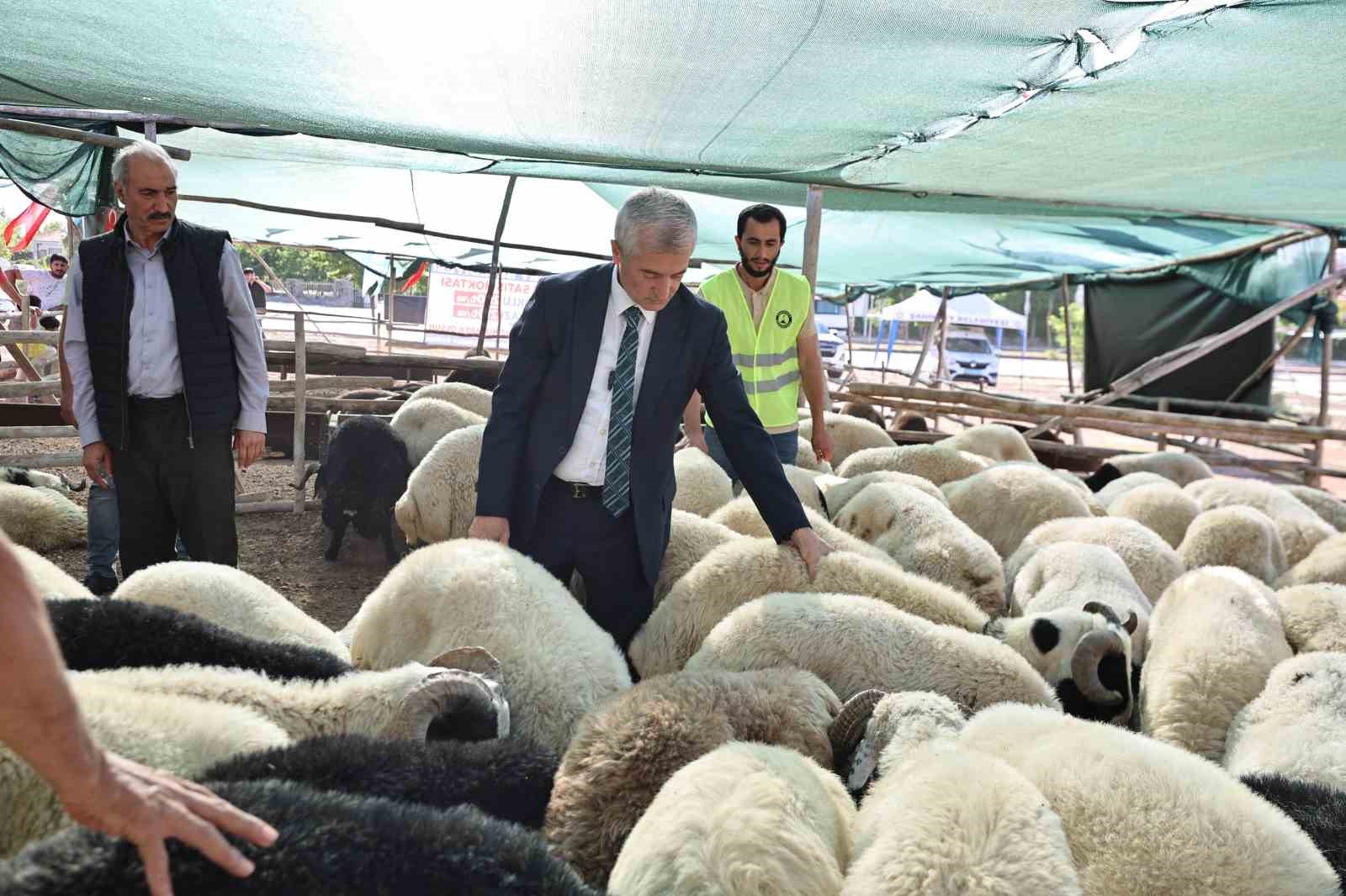 Tahmazoğlu kurban fiyatlarını açıkladı
