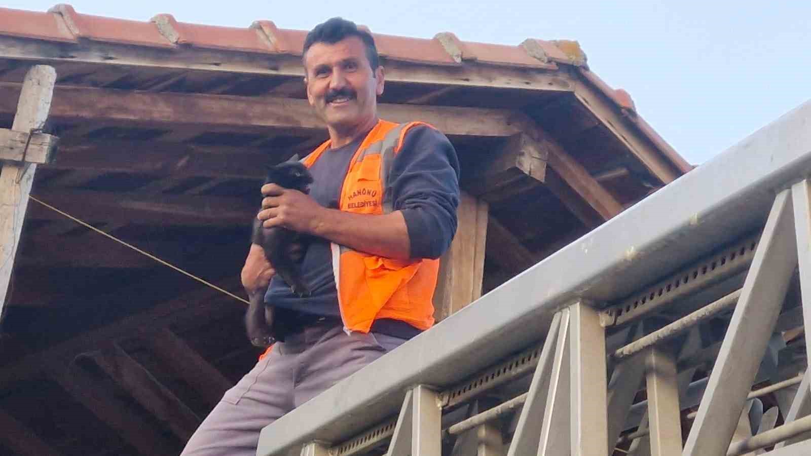 Kastamonu’da evin çatısında mahsur kalan kediyi itfaiye ekipleri kurtardı