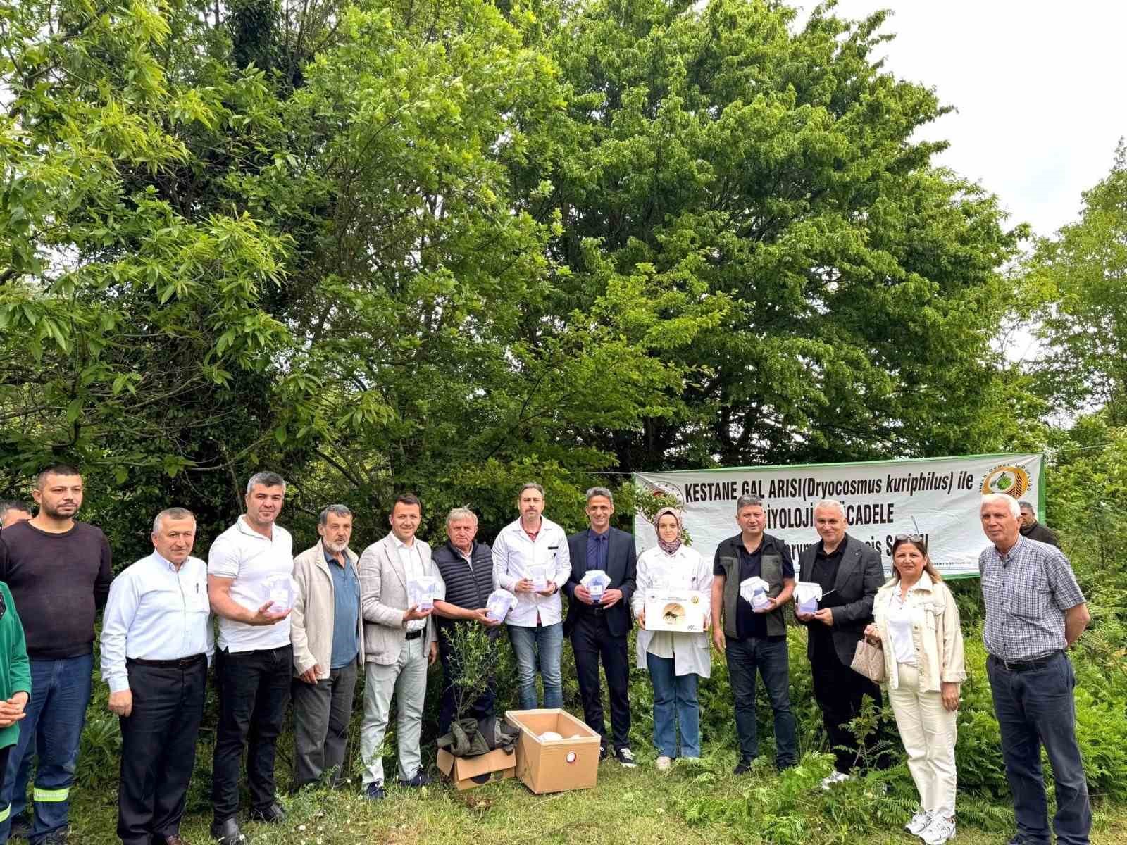 &Ccedil;aycuma&rsquo;da kestane gal arısına karşı biyolojik m&uuml;cadele
