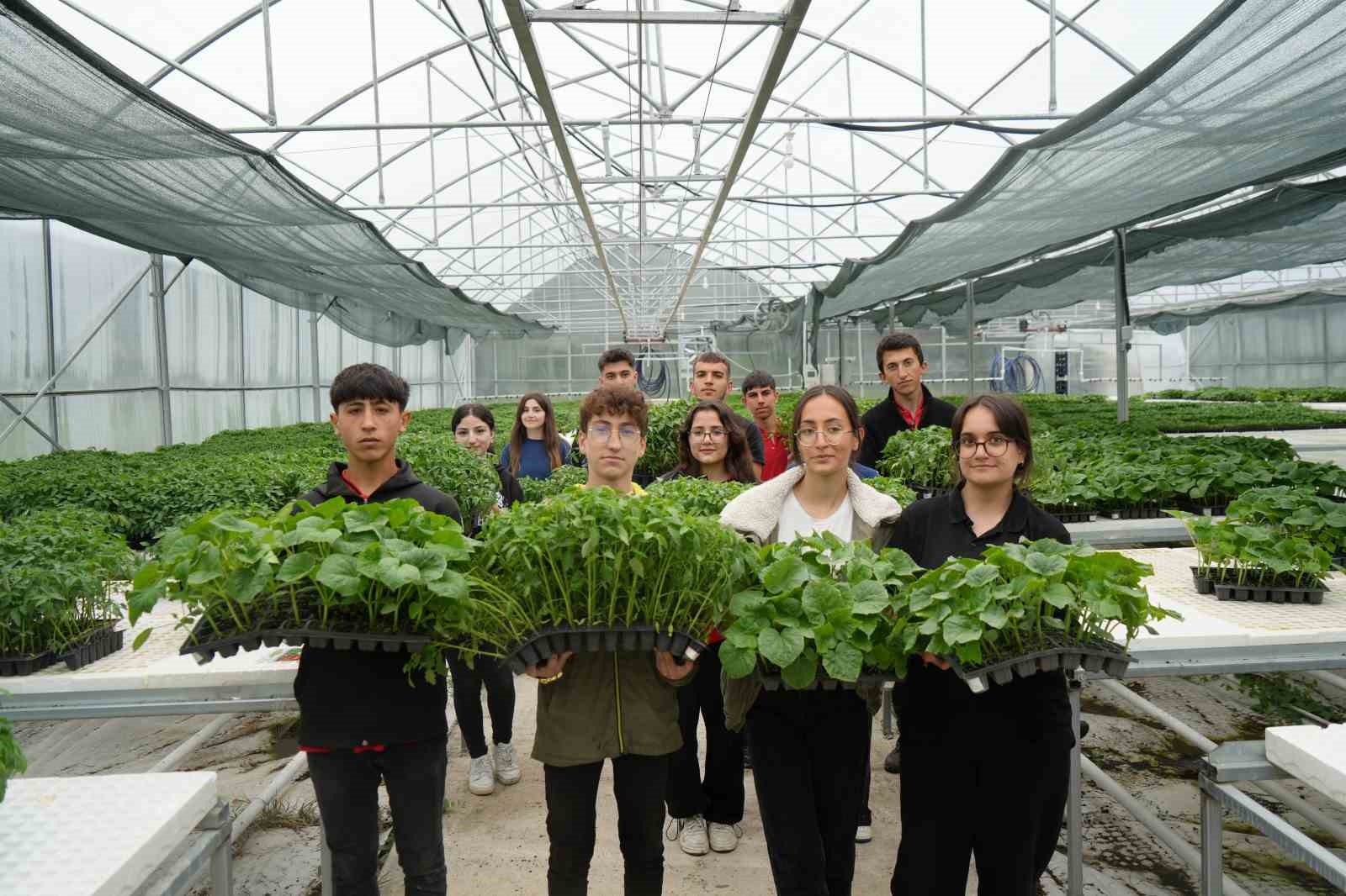 Lise öğrencileri 1 milyon fide üretimi hedefliyor