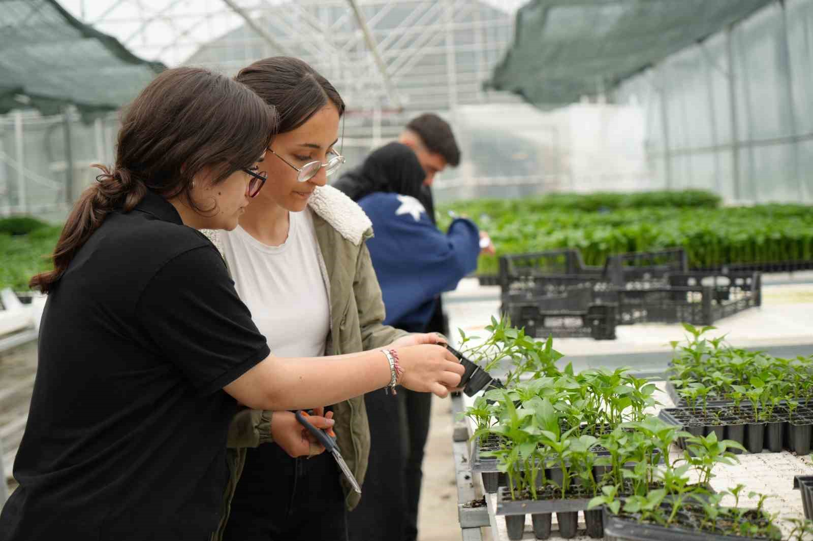 Lise öğrencileri 1 milyon fide üretimi hedefliyor