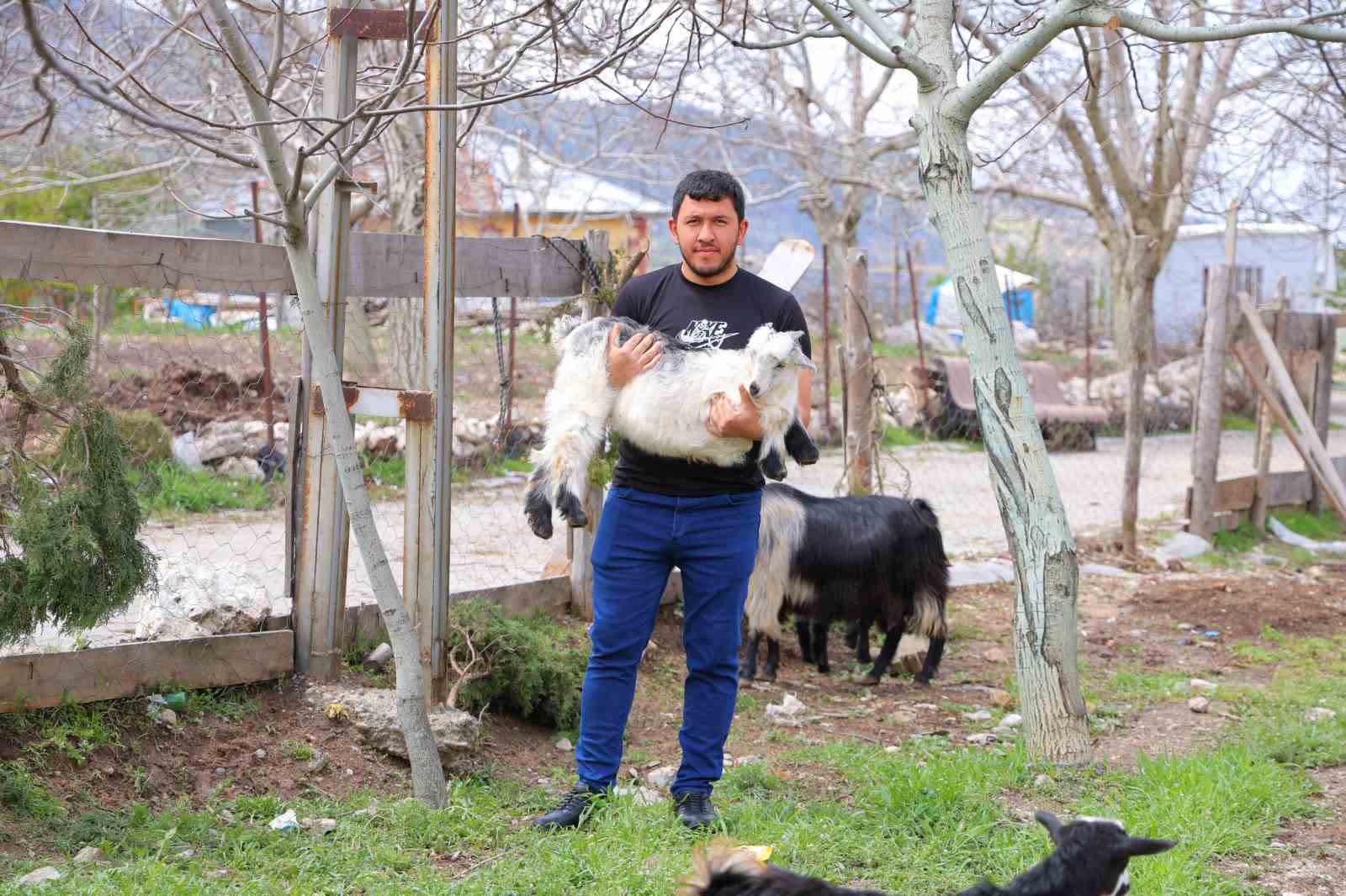 Kahramanmaraş’ta cevizi don vurunca, üreticileri farklı alanlara yöneldi