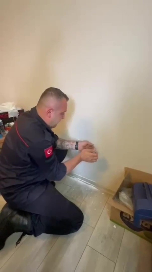 Yavruları duvar arasında mahsur kalan kedinin imdadına itfaiye ekipleri yetişti
