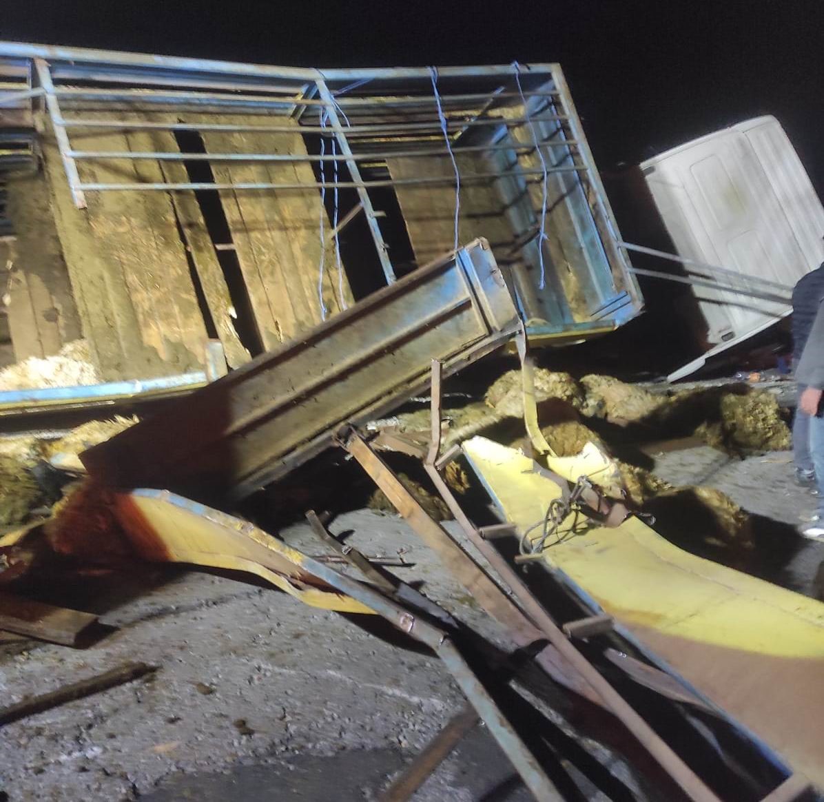 Bingöl’de kurbanlıkları taşıyan tır devrildi: Onlarca koyun telef oldu