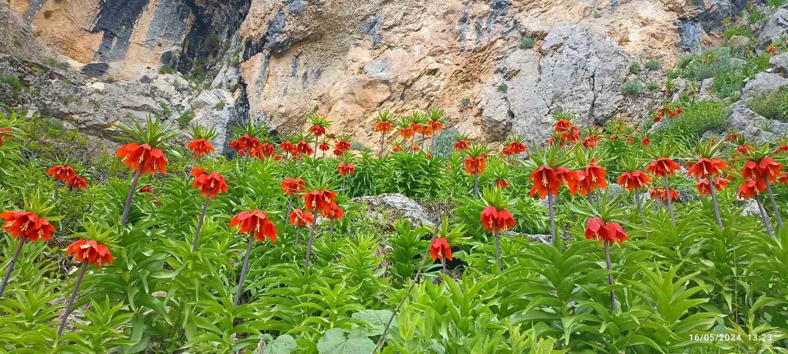 Yetkililer uyarıyor: Bu türe zarar vermenin cezası çok ağır