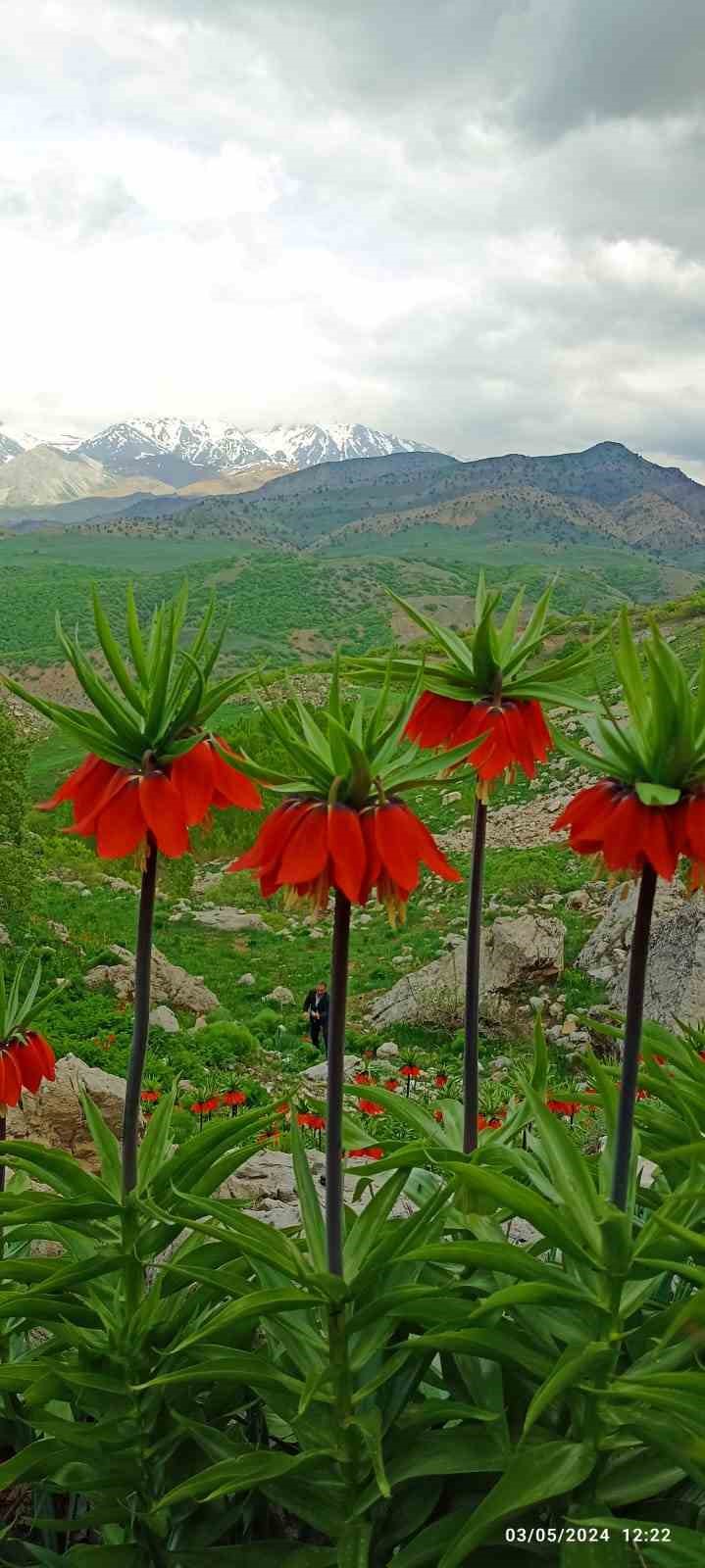 Yetkililer uyarıyor: Bu türe zarar vermenin cezası çok ağır
