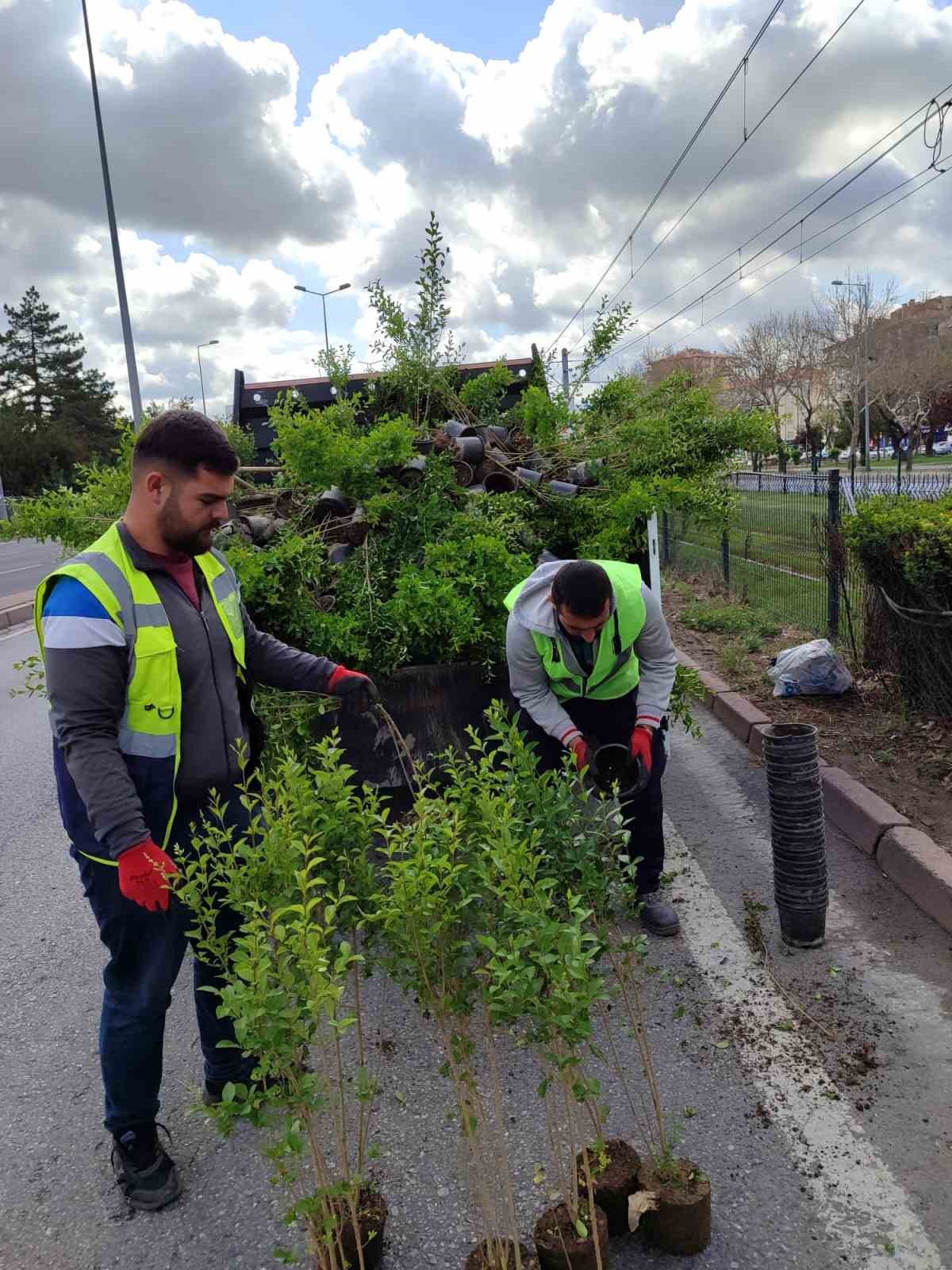 Büyükşehirden ‘doğa dostu’ hizmetler
