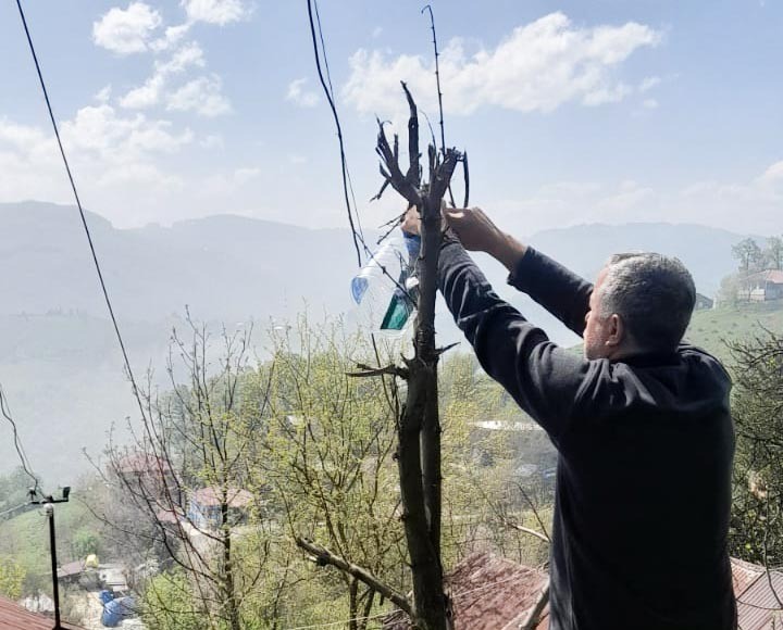 Canik’te 30 mahallede bin 487 alan ilaçlandı
