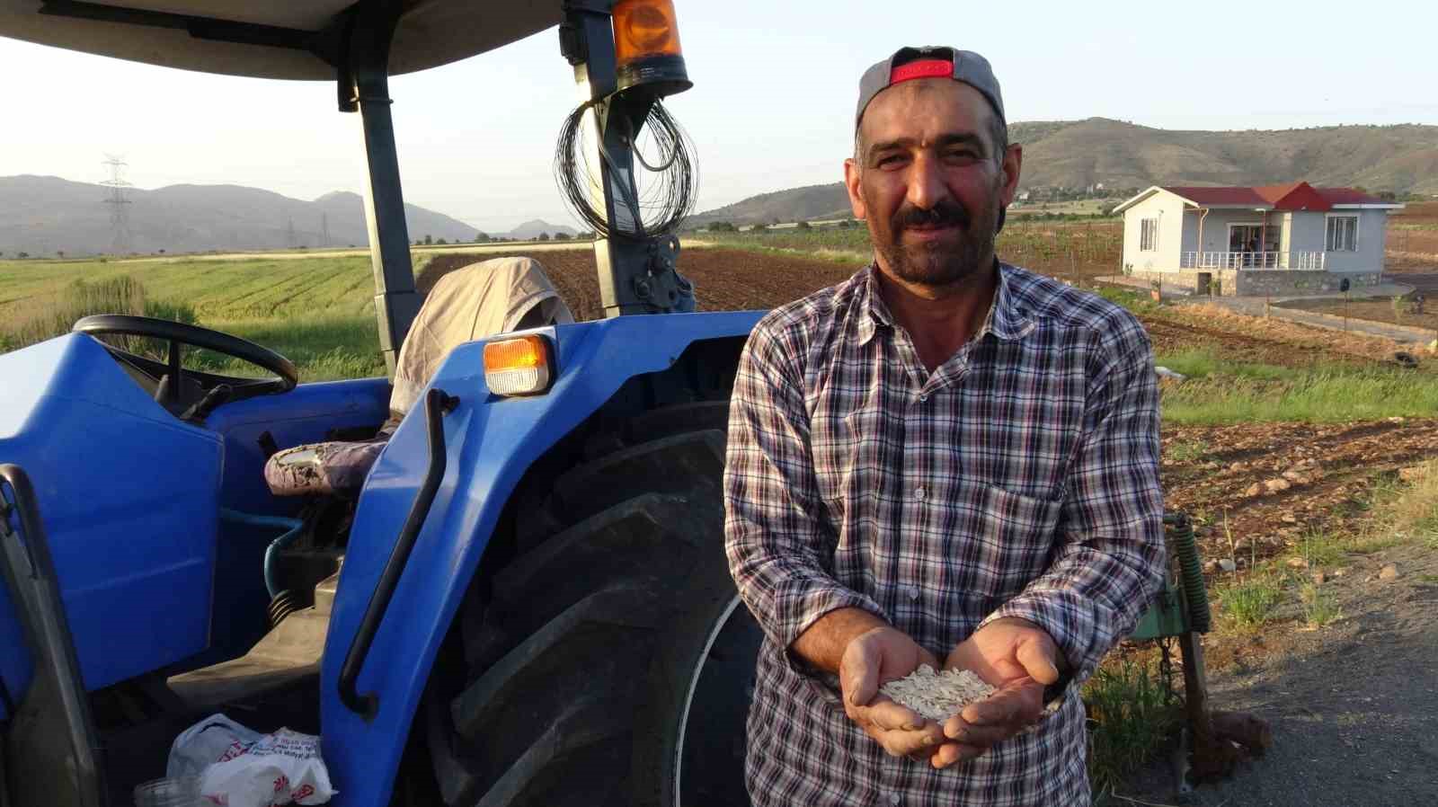 Gerc&uuml;ş&rsquo;te &ccedil;ift&ccedil;iler karpuz ve kavun tohumlarını ekmeye başladı
