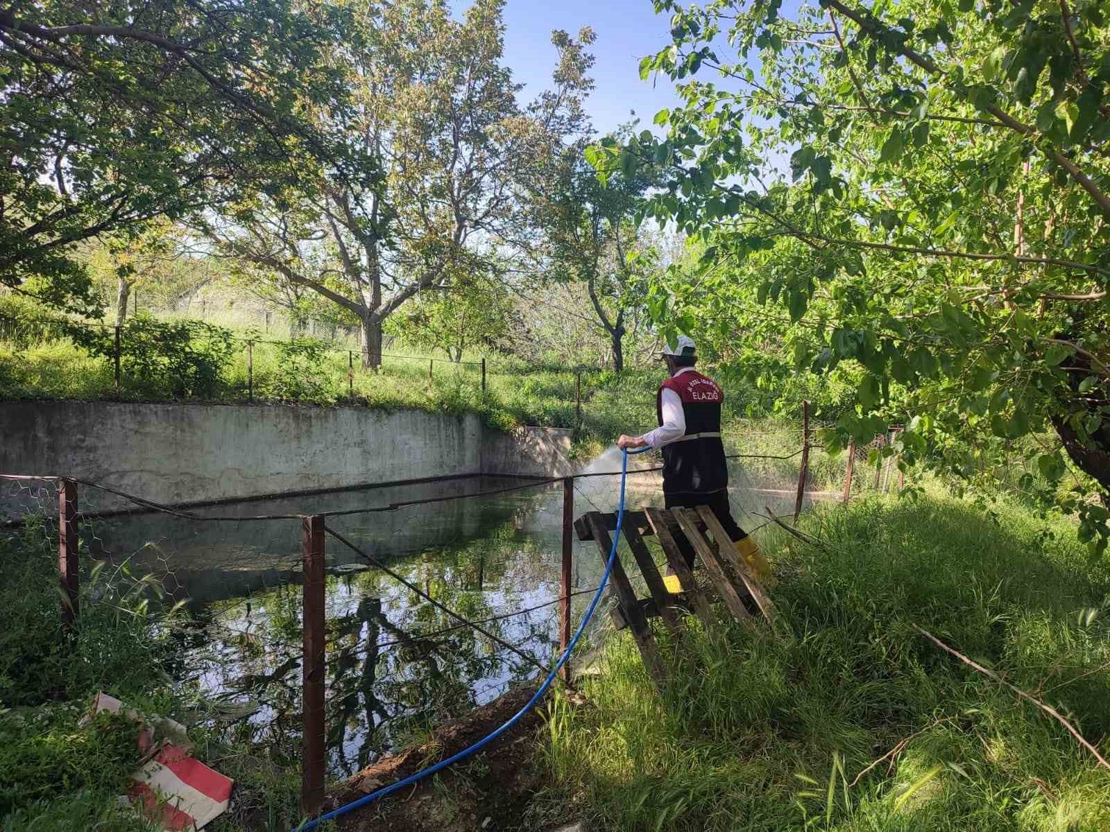 Elazığ’da larva ile mücadele çalışmaları sürüyor