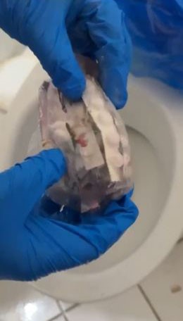 Konya’da narkotik operasyonu: 63 tutuklama