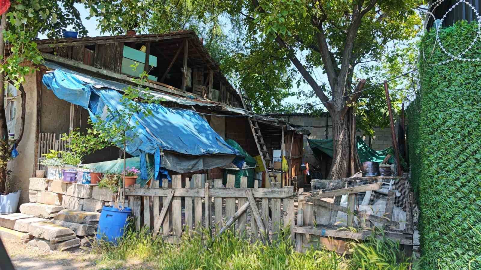 &Uuml;z&uuml;m yaprağı toplarken &ccedil;atıdan d&uuml;şt&uuml;
