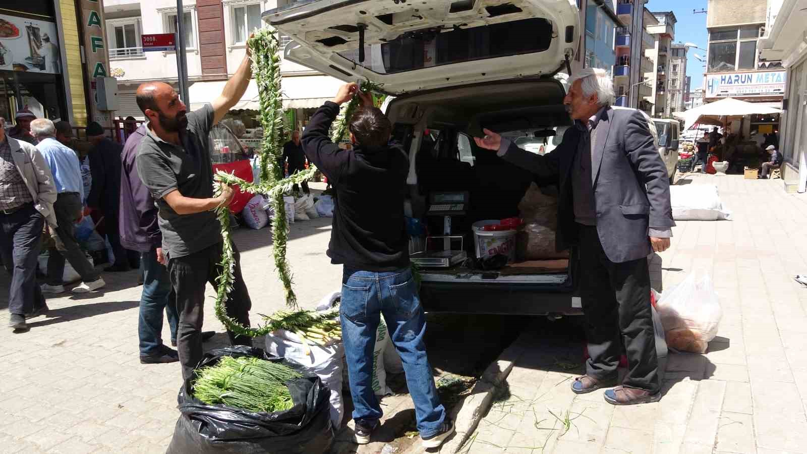 Dağlardan toplanan otlar hem şifa hem kazanç sağlıyor
