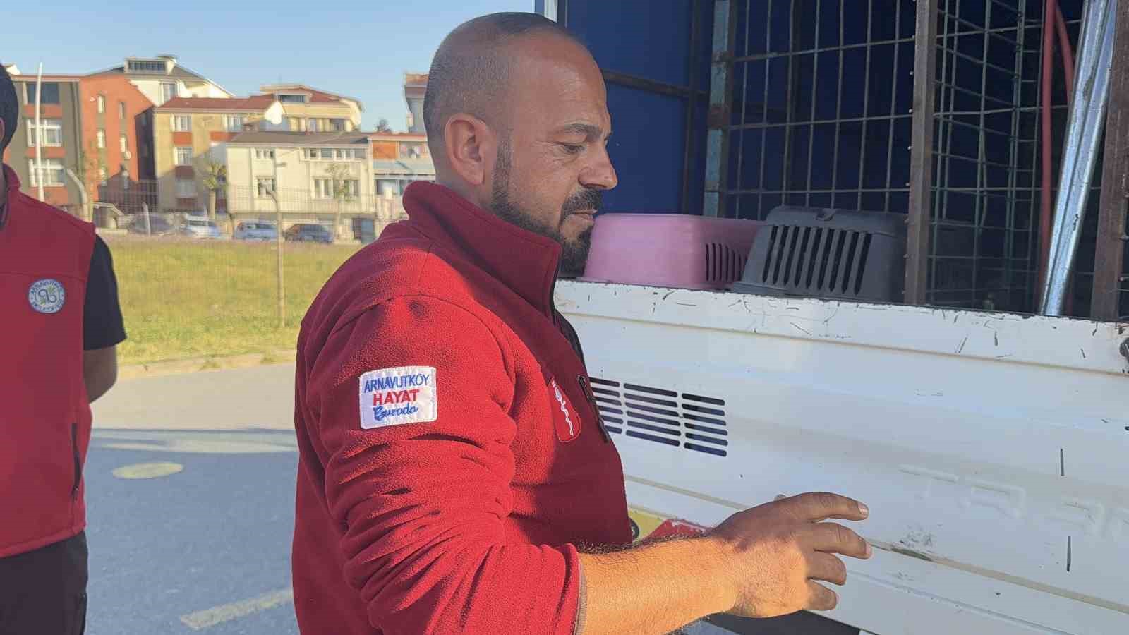Arnavutköy’de çayırlık alanda yaralı kartal bulundu
