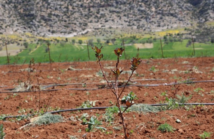 Antalya’da tarımsal sulama projeleriyle tersine göç hızlandı