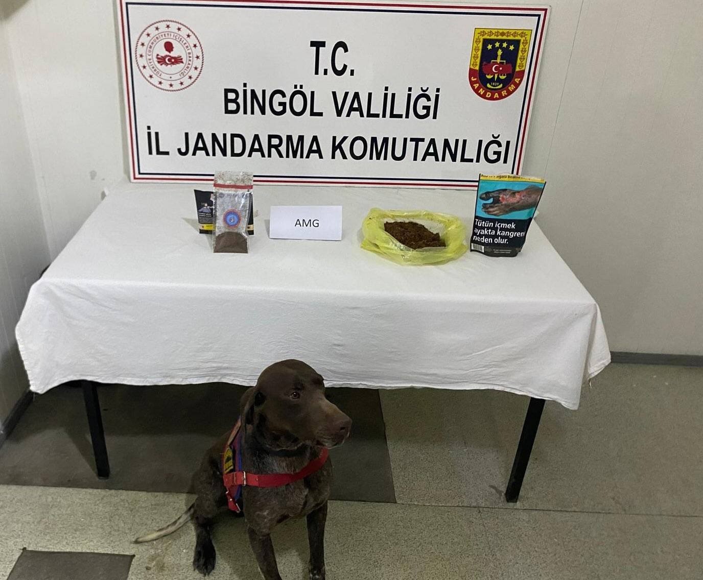 Bingöl’de yolcunun üzerinden bonzai çıktı