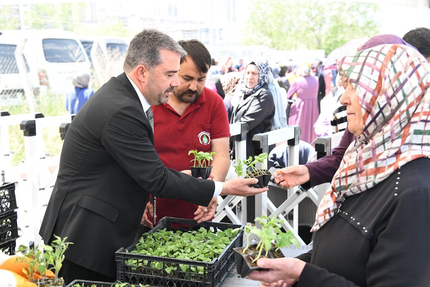 Pursaklar’da yerli tohuma destek