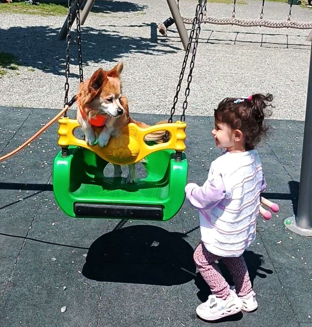 K&ouml;peğin park keyfi g&ouml;renlere tebess&uuml;m ettirdi
