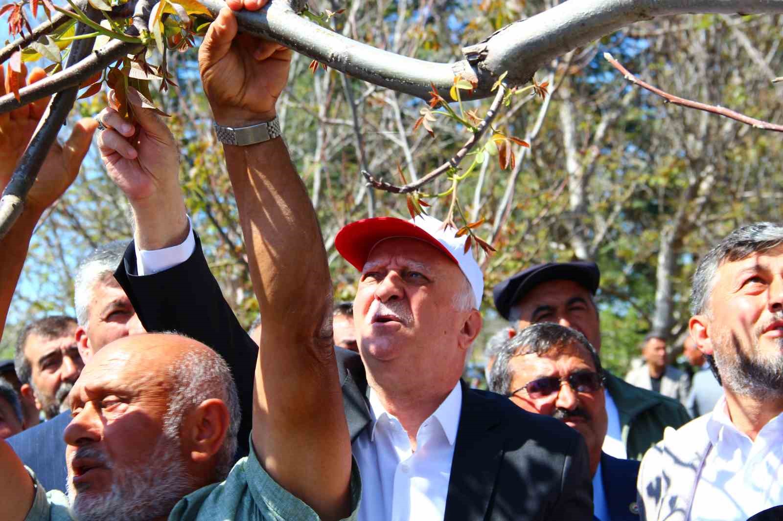 TZOB Genel Başkanı Bayraktar, &Ccedil;orum&rsquo;da zirai dondan etkilenen ceviz bah&ccedil;elerini inceledi
