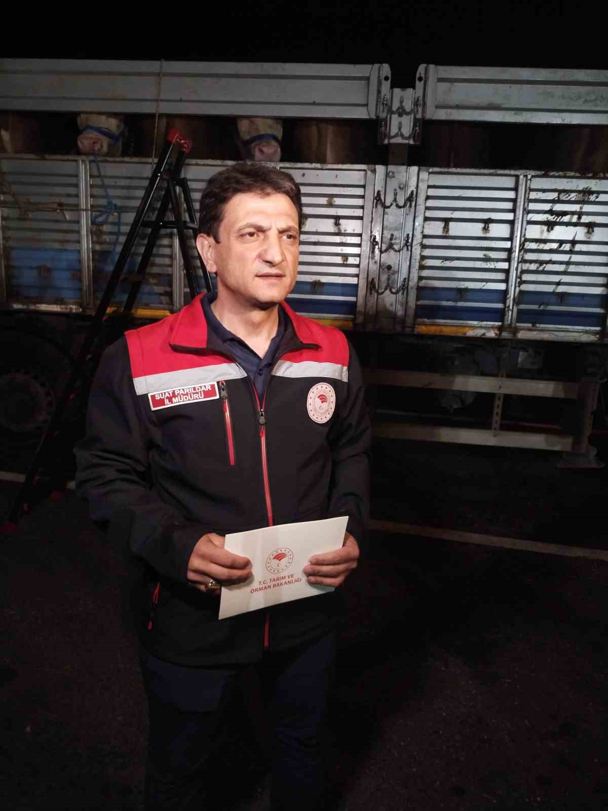 Anadolu’dan gelen kurbanlıklar İstanbul’a giriş yapmaya başladı