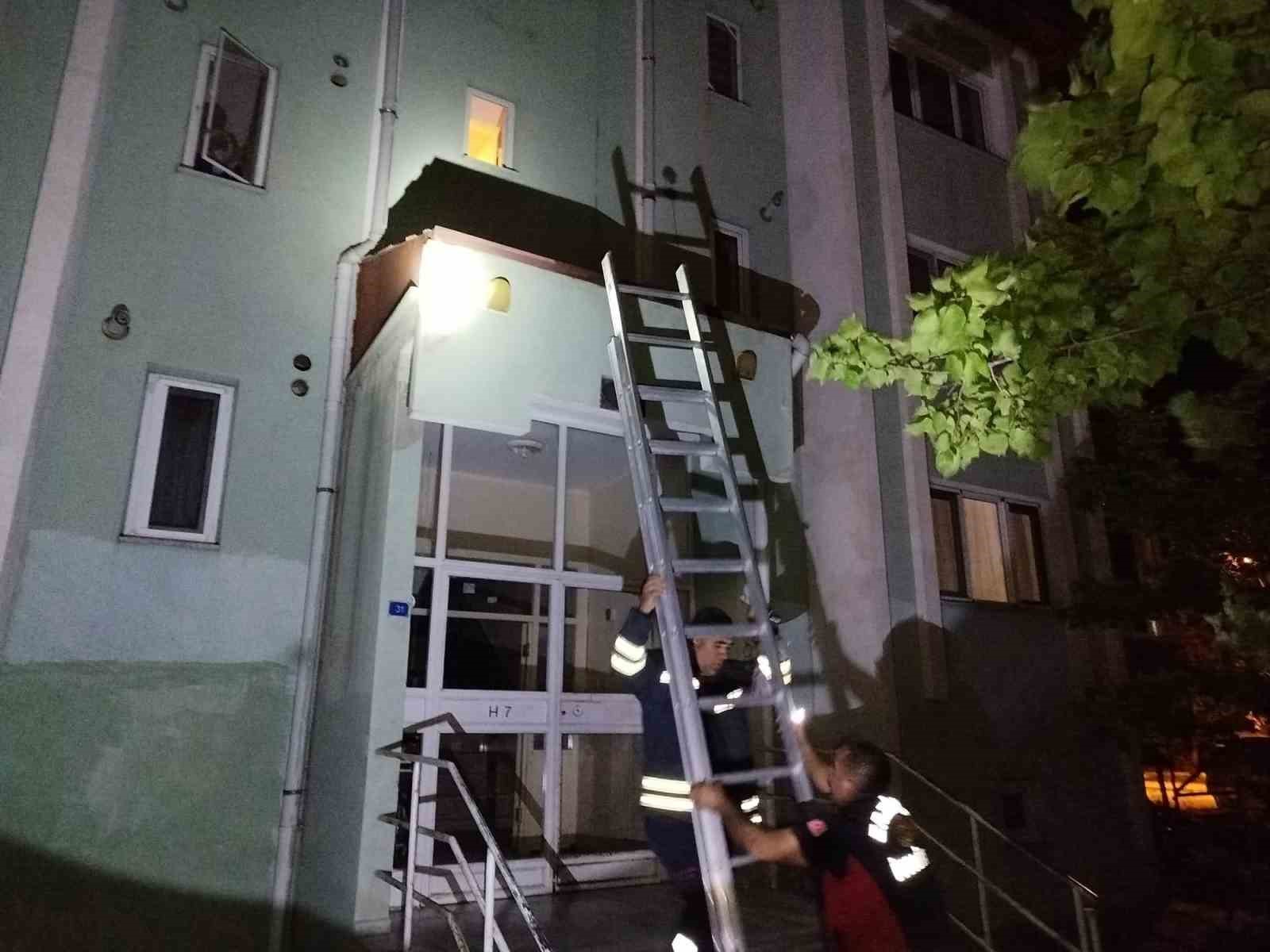 Mahsur kalan kediyi itfaiye kurtardı