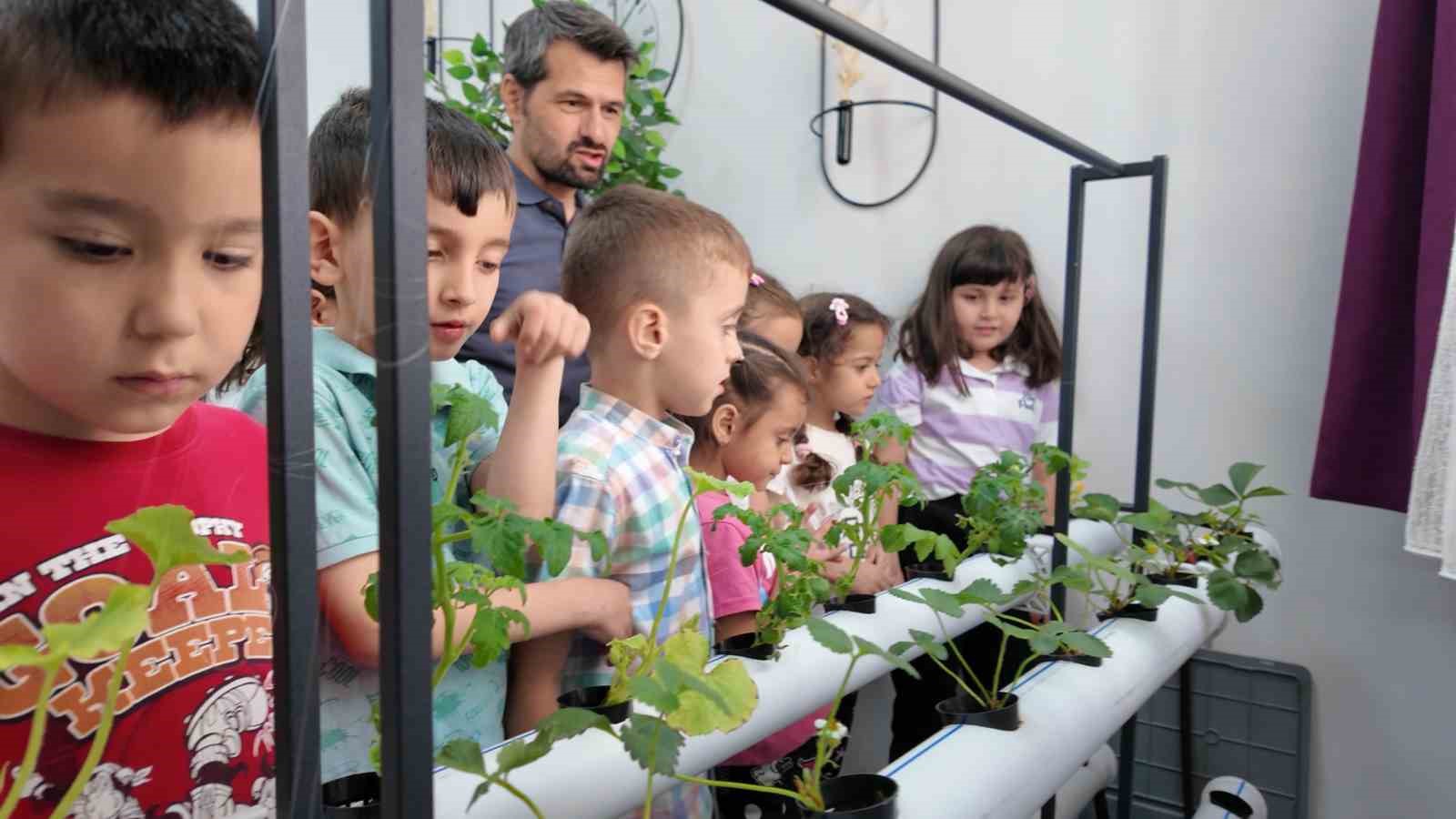 Manisalı minik çiftçiler topraksız tarımla üretim yapıyor