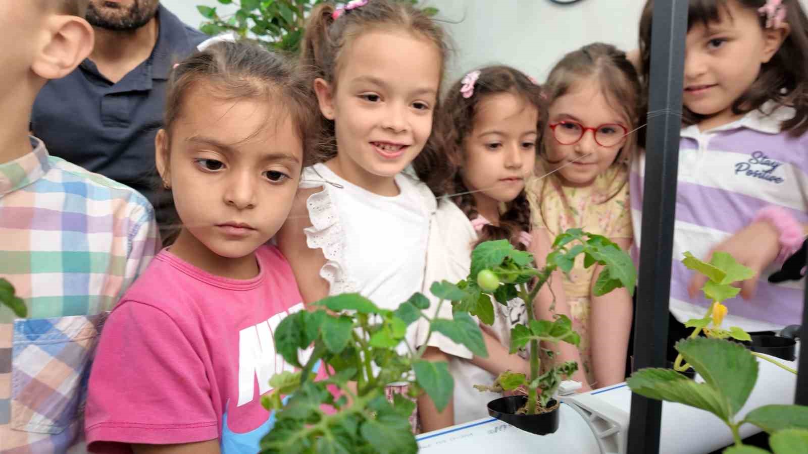 Manisalı minik &ccedil;ift&ccedil;iler topraksız tarımla &uuml;retim yapıyor
