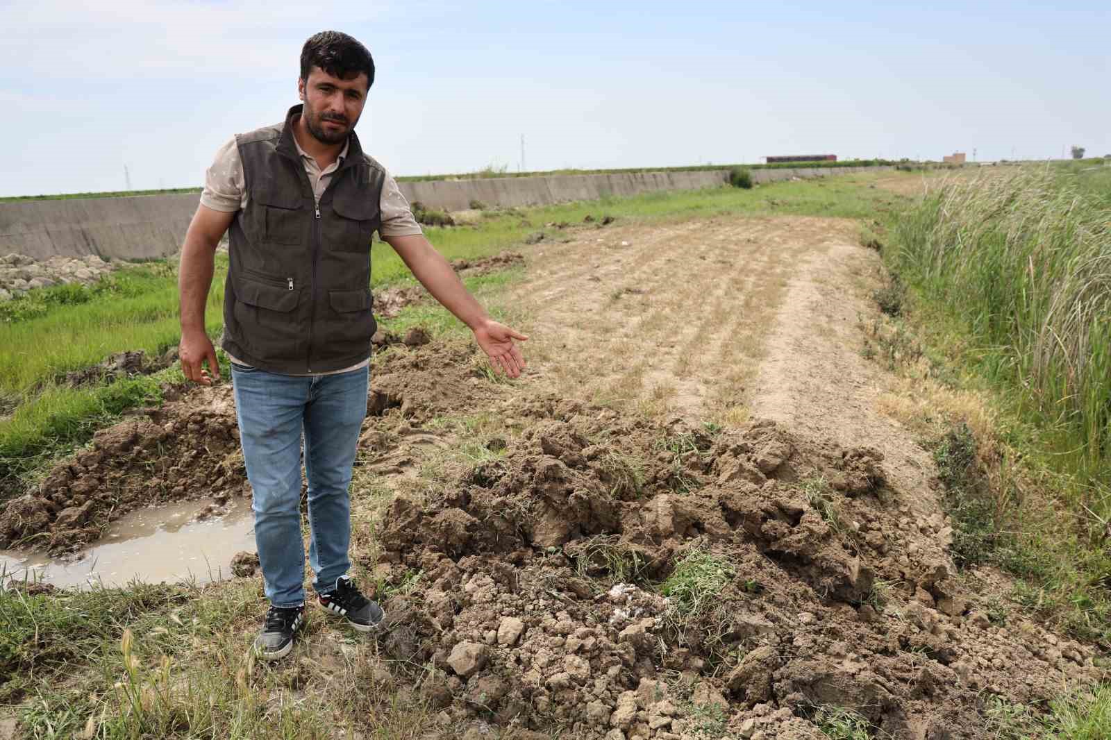 Meraya dökülen zehir 77 koyunu telef etti, onlarca kuzu annesiz kaldı
