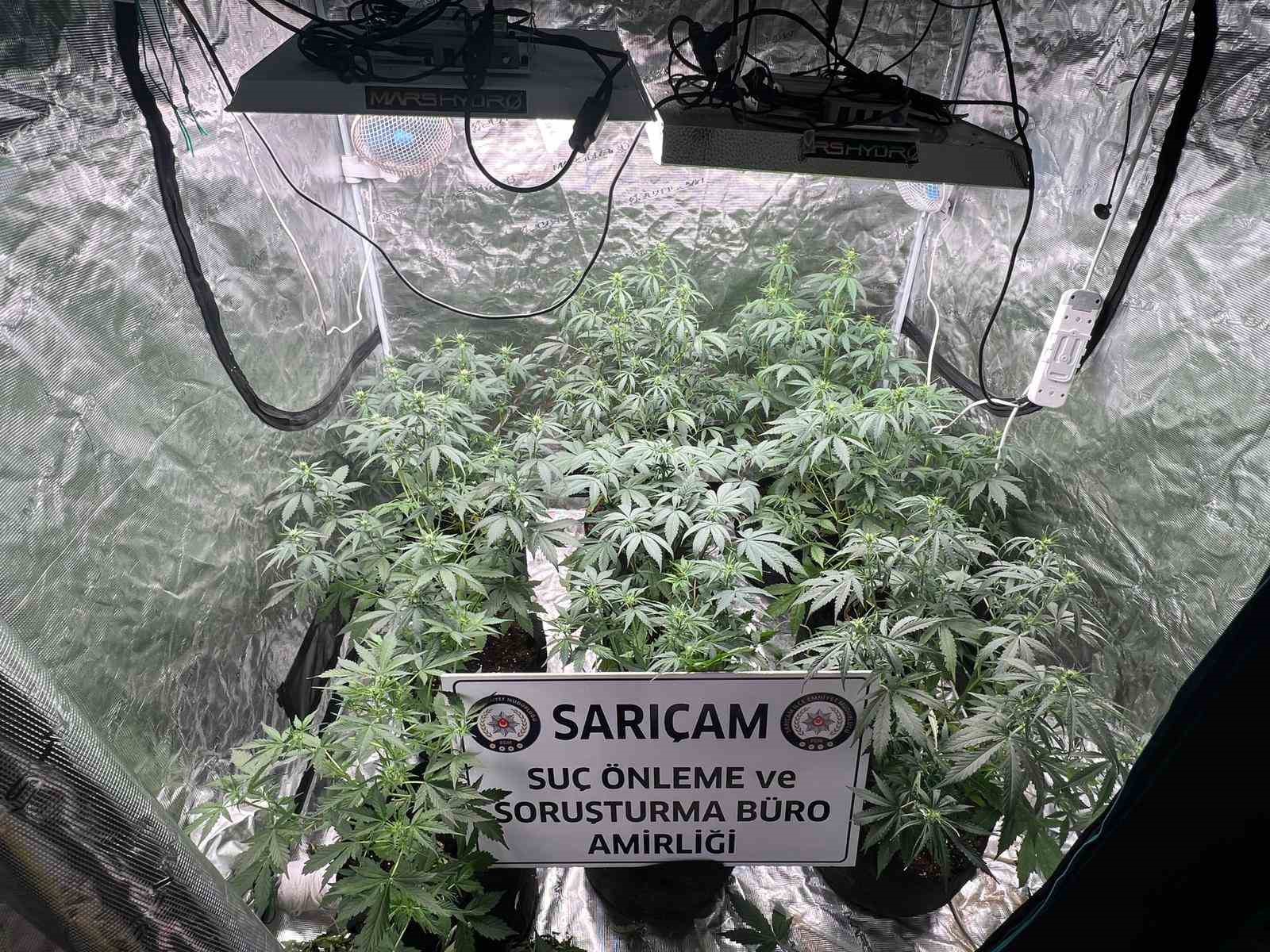 Apartman dairesine uyuşturucu serası kurmuşlar: 3 gözaltı