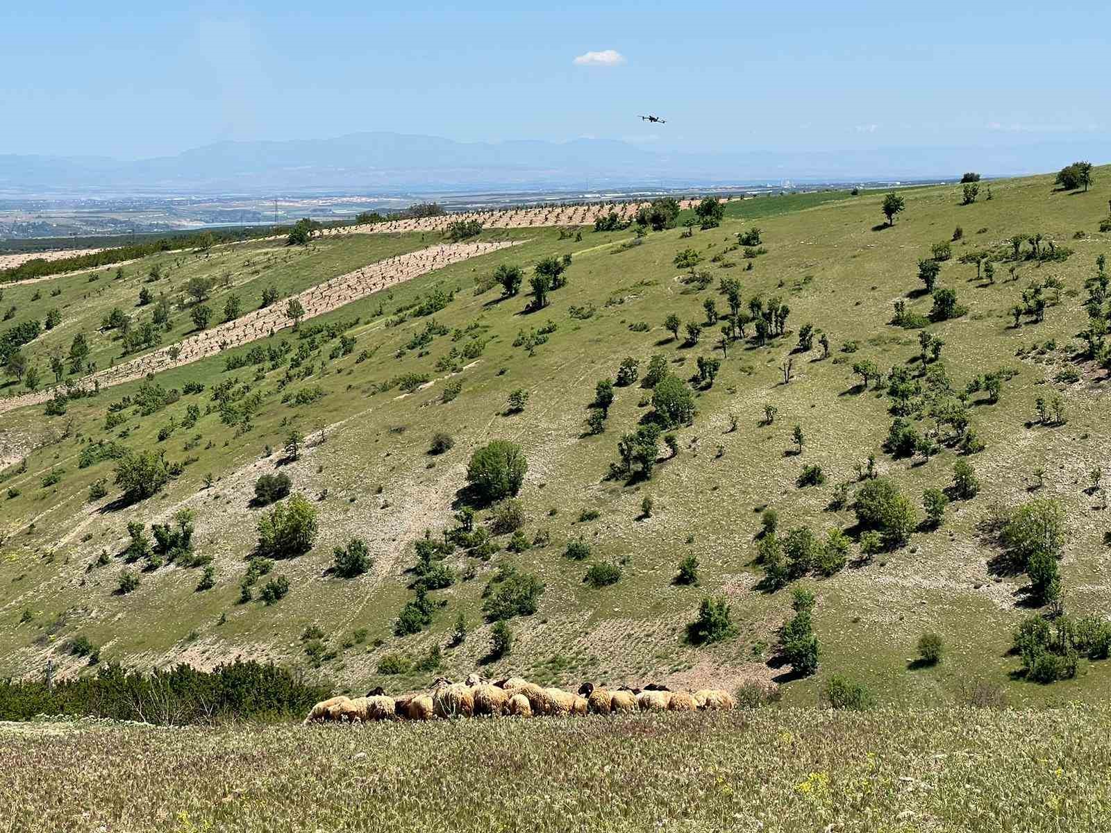 Malatya&rsquo;da yetiştiriciler yayla yoluna &ccedil;ıktı
