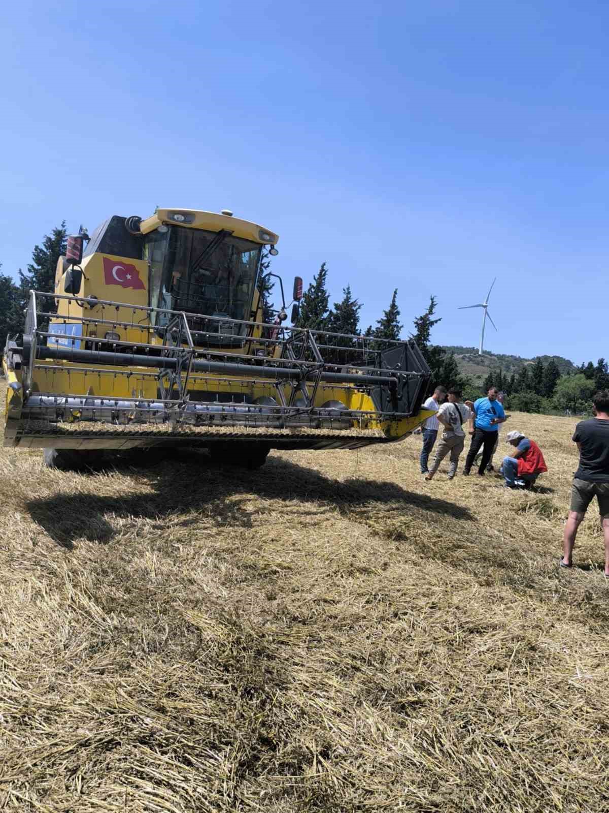 Muğla’da Biçerdöverle hububat hasadı başladı