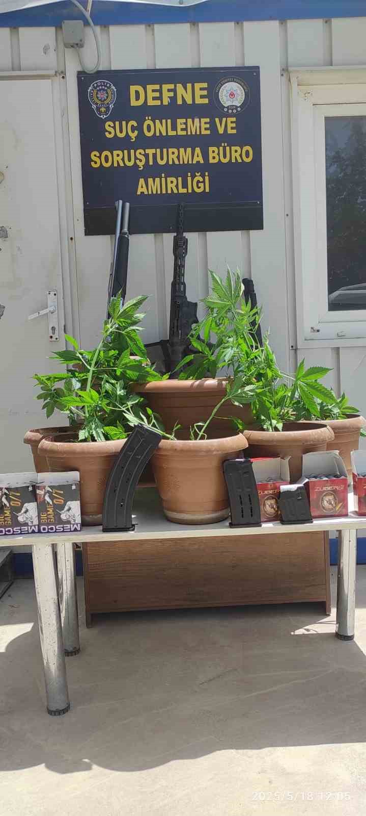 Defne’de saksı içerisine ekili 19 kök Hint keneviri bitkisi ele geçirildi