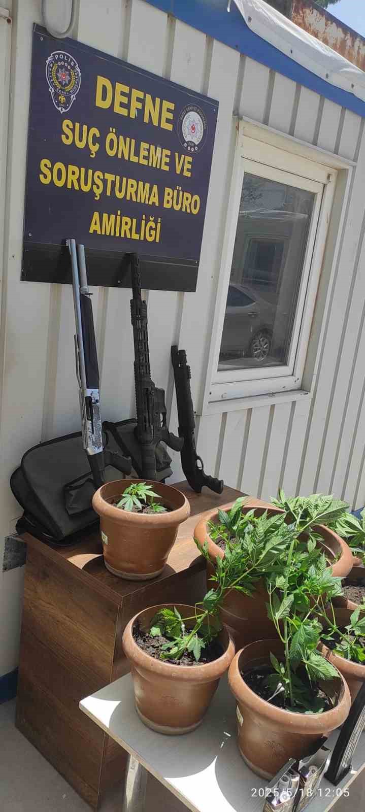 Defne’de saksı içerisine ekili 19 kök Hint keneviri bitkisi ele geçirildi