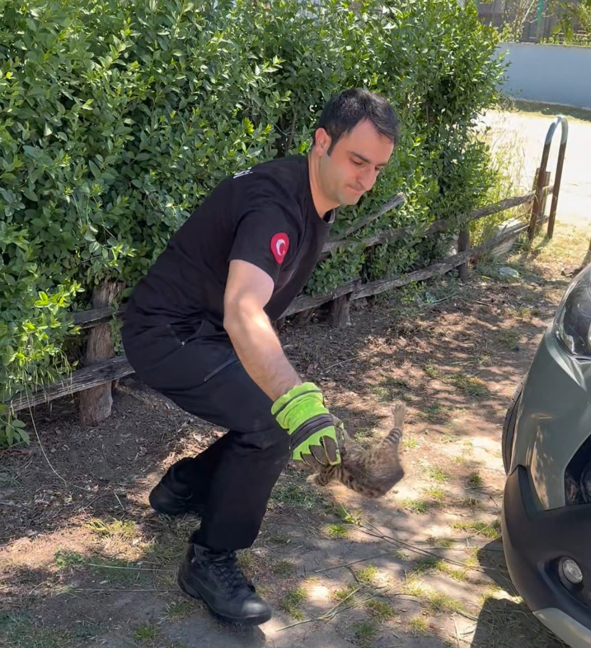 Aracın kaputunun altına giren 2 yavru kedi itfaiye ekiplerince kurtarıldı
