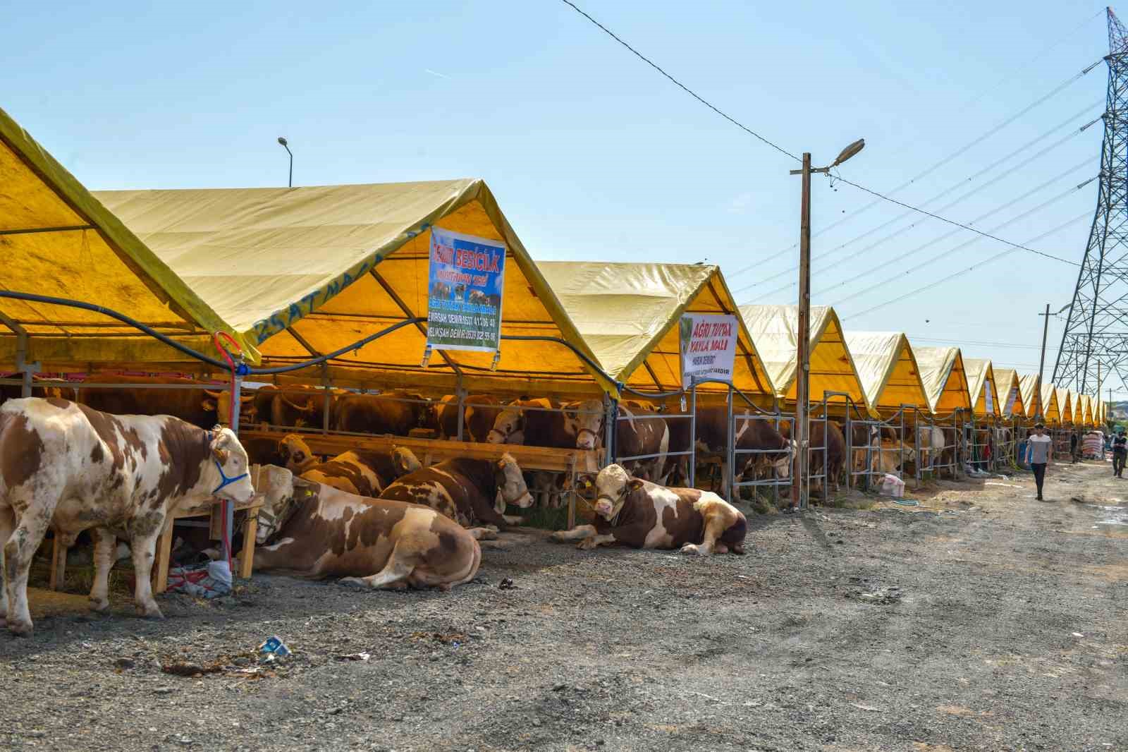 Esenyurt&rsquo;ta kurban satış ve kesim alanı hazır
