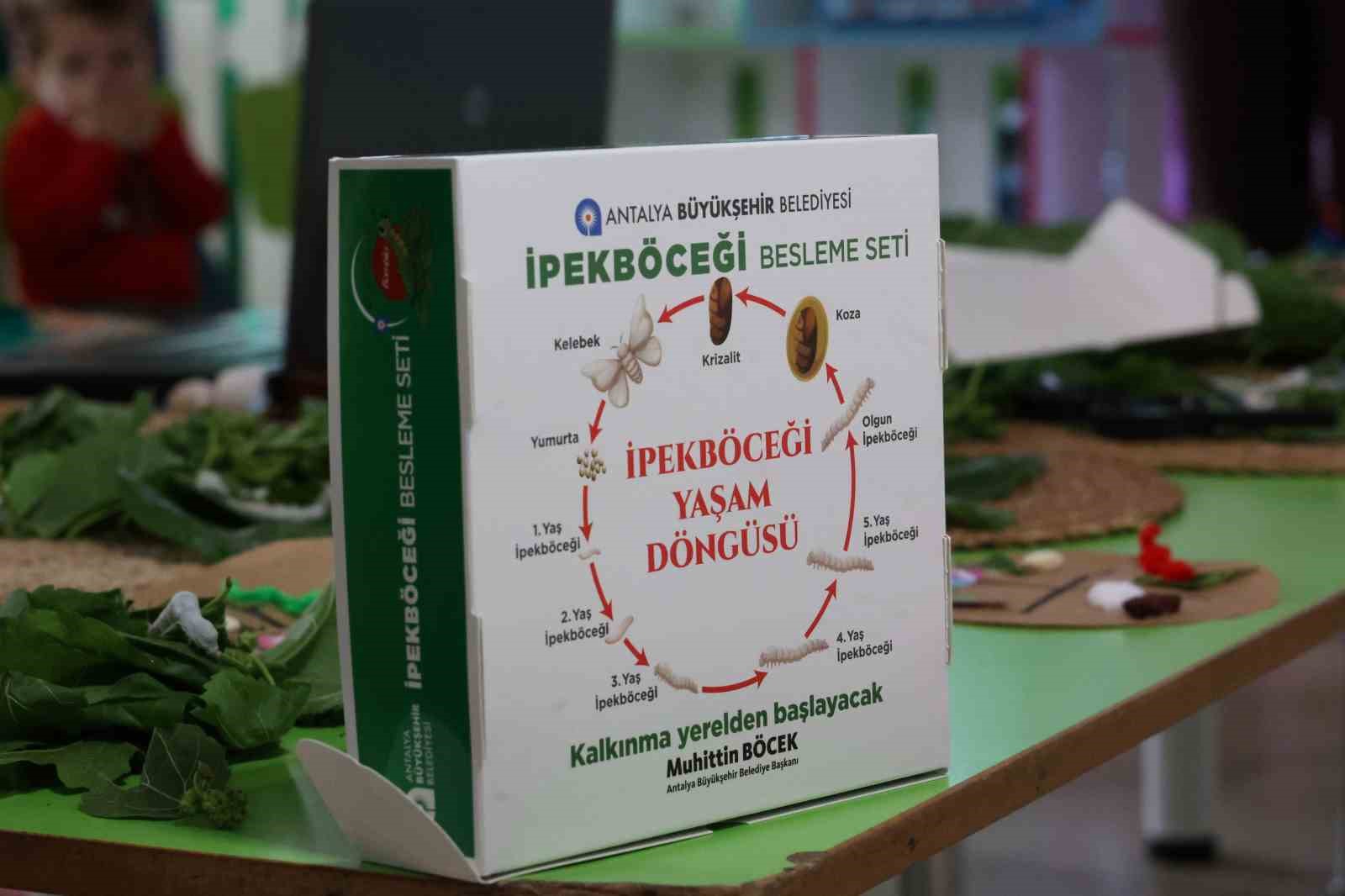 Büyükşehir çocukları ipekböceği ile tanıştırıyor